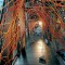 Nomad unveiled at the artrium exhibition space