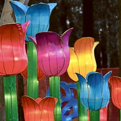 LANTASIA – A light sculpture event in the night garden