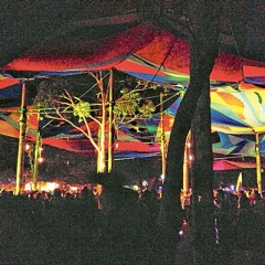 Fear & Loathing at Rainbow Serpent